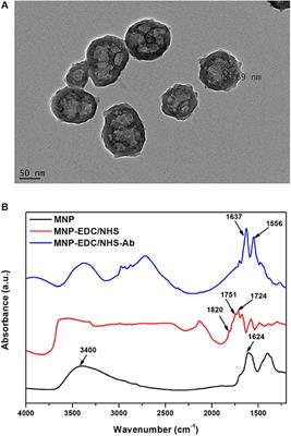 Magnetic Nanoparticles Enhance Pore Blockage-Based Electrochemical Detection of a Wound Biomarker